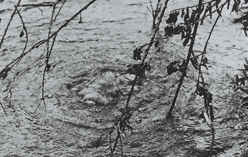 Natural gas upwelling in the river (filmed in 1950)