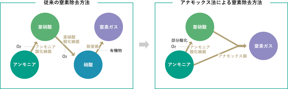 従来の窒素除去方法→アナモックス法による窒素除去方法